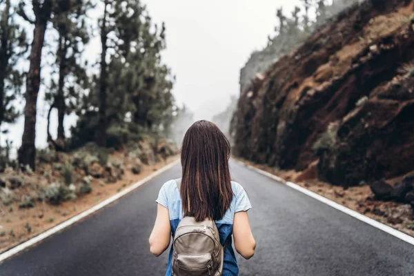 Achteraanzicht van lange haren brunette meisje lopen op de mistige weg ik — Stockfoto