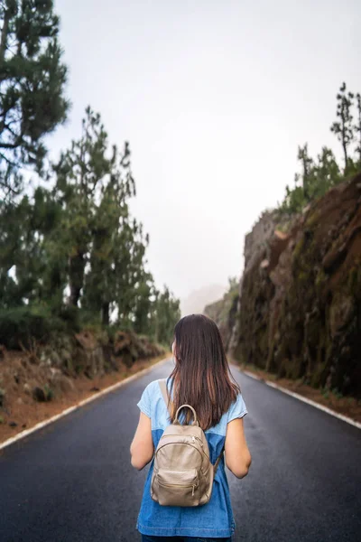 Achteraanzicht van lange haren brunette meisje lopen op de mistige weg ik — Stockfoto