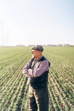 Yetişkin çiftçi çiftliğinde bitkiler kontrol.