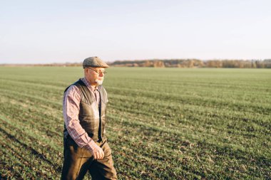 Yetişkin çiftçi çiftliğinde bitkiler kontrol.