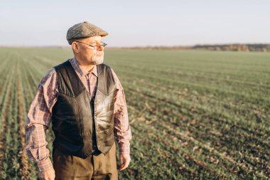 Yetişkin çiftçi çiftliğinde bitkiler kontrol.