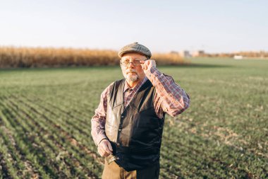 Yetişkin çiftçi çiftliğinde bitkiler kontrol.