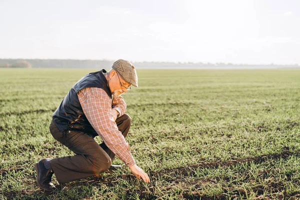 Felnőtt gazdálkodók ellenőrző üzemek saját farmján. — Stock Fotó