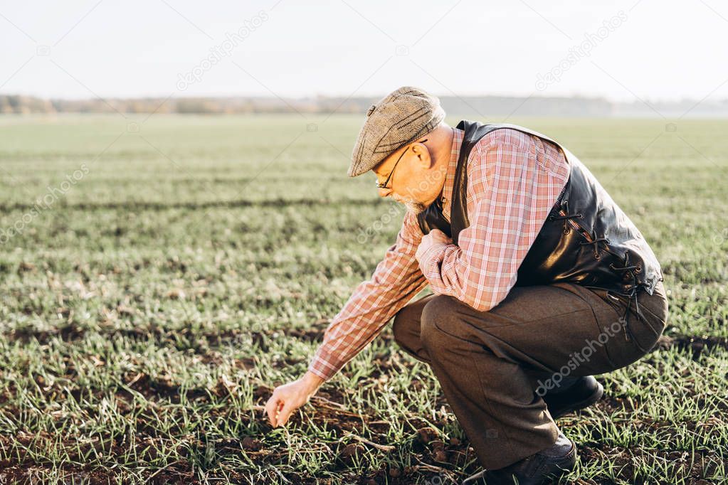 Adult farmer checking plants on his farm.