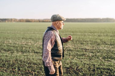 Yetişkin çiftçi çiftliğinde bitkiler kontrol.
