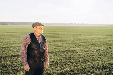 Yetişkin çiftçi çiftliğinde bitkiler kontrol.