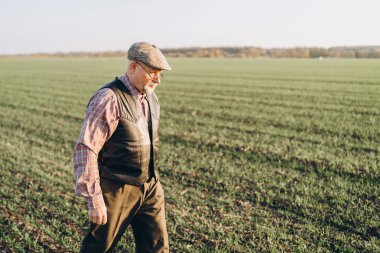 Yetişkin çiftçi çiftliğinde bitkiler kontrol.