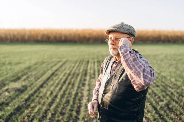 Adult farmer checking plants on his farm. — Stock Photo, Image