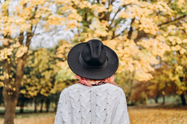 Chica bonita con el pelo rojo y sombrero relajante en el parque, t otoño — Foto de Stock