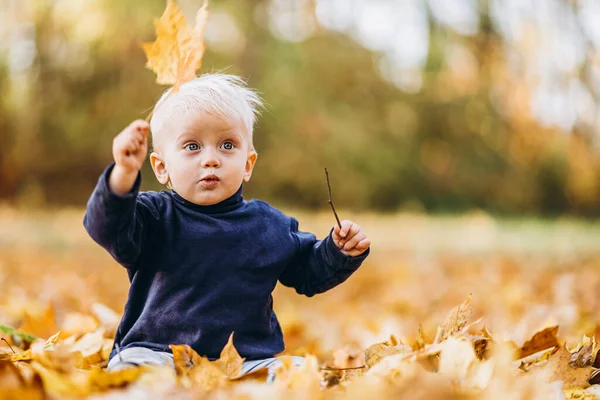 Little Cute Baby Boy Zabawy Świeżym Powietrzu Parku Czasie Jesieni — Zdjęcie stockowe