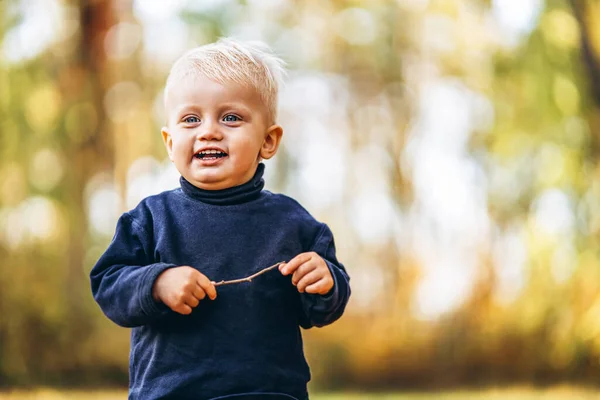 Pequeño Bebé Lindo Diviértete Aire Libre Parque Otoño — Foto de Stock