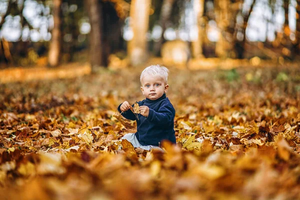 Malý Roztomilý Chlapeček Bavit Venku Parku Podzim — Stock fotografie