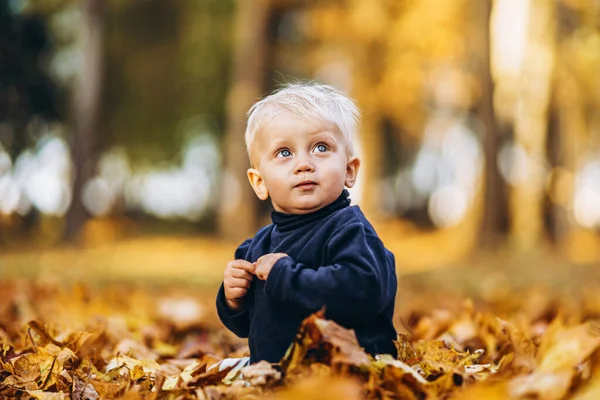 Little Cute Baby Boy Zabawy Świeżym Powietrzu Parku Czasie Jesieni — Zdjęcie stockowe
