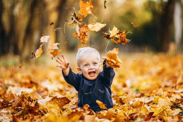 Kleine Süße Junge Haben Herbst Spaß Draußen Park — Stockfoto