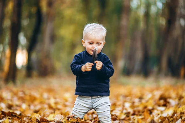 Küçük Tatlı Erkek Bebek Sonbaharda Parkta Eğleniyor — Stok fotoğraf