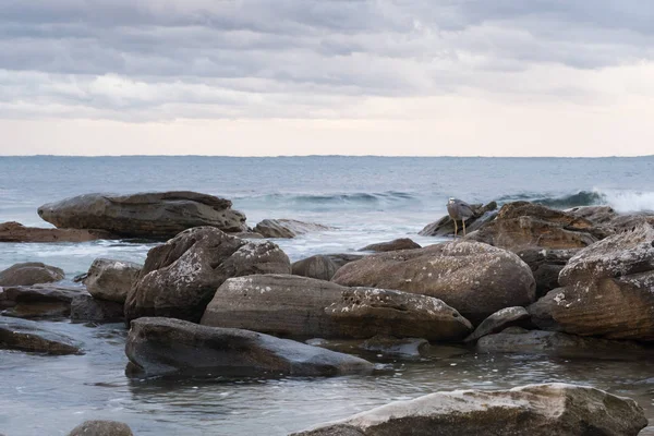 Paesaggio Spiaggia Con Uccello Appeso Una Roccia — Foto Stock