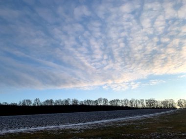 Ağaçlarla kaplı bahar tarlası güzel bir gökyüzüne karşı