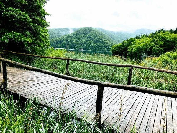 Pasarela de madera en hierba verde. — Foto de Stock