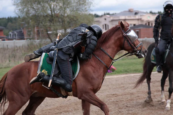 Agentes Polícia Que Fazem Acrobacias Cavalo Demonstração Polícia Montada Ksk — Fotografia de Stock