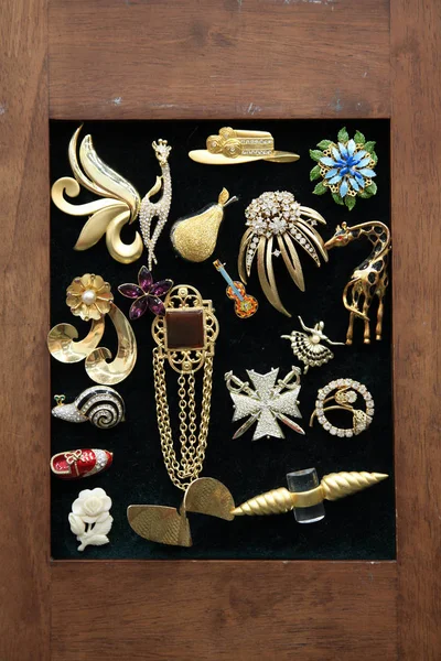 Many Vintage Jewelry Brooches Attached Velvet Wooden Frame — Stock Photo, Image