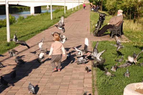 Mały chłopiec goni gołębie w parku. Moskwa. 18.05.2019 — Zdjęcie stockowe