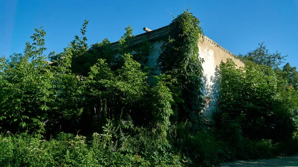 Dilapidada Casa Solariega Abandonada Los Nobles Del Siglo Xviii Región — Foto de Stock