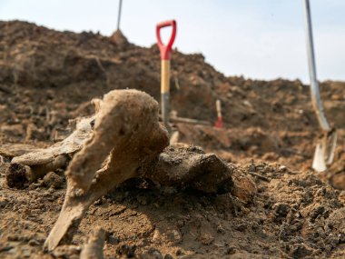 2. Dünya Savaşı toplu mezarlığının arkeolojik sahasında insan kalıntıları bulundu.