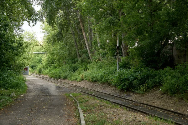 Железнодорожные Рельсы Зелени Городских Зарослей — стоковое фото