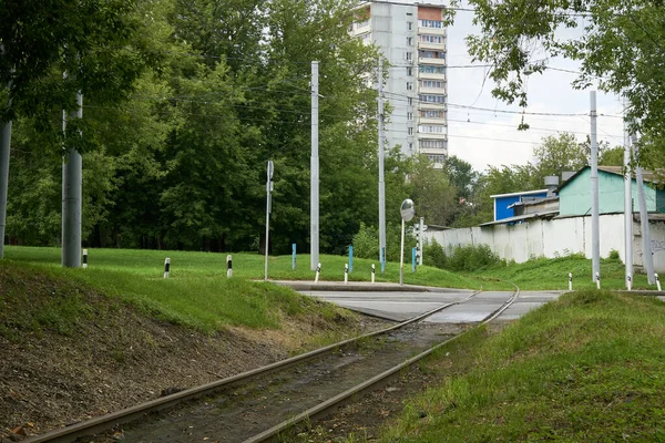 Railway Rails Greenery Urban Thickets — Stock Photo, Image