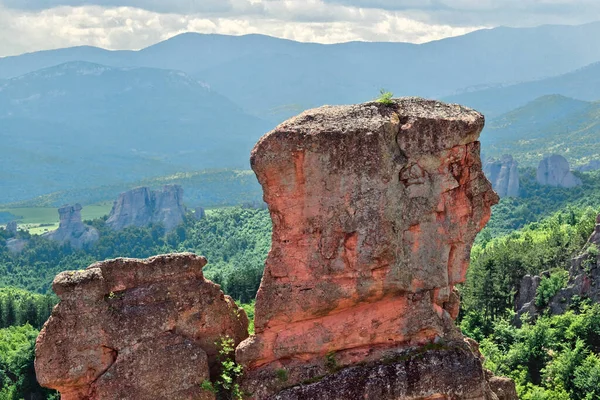 Formas Únicas Roca Natural Cerca Rocas Belogradchik Bulgaria — Foto de Stock