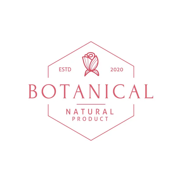 Vector Botanical Logo Design Template Trendy Line Art Minimal Style — Stock Vector