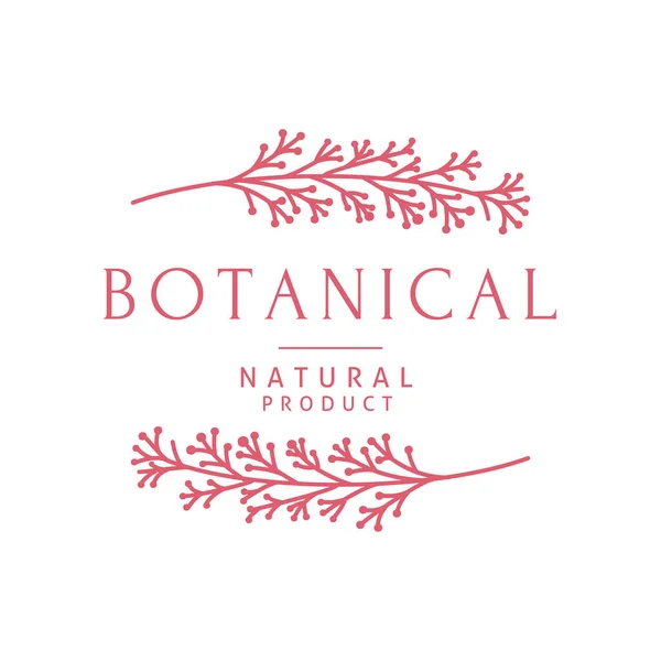 Vector Botanical Logo Design Templates Trendy Line Art Minimal Style — Stock Vector