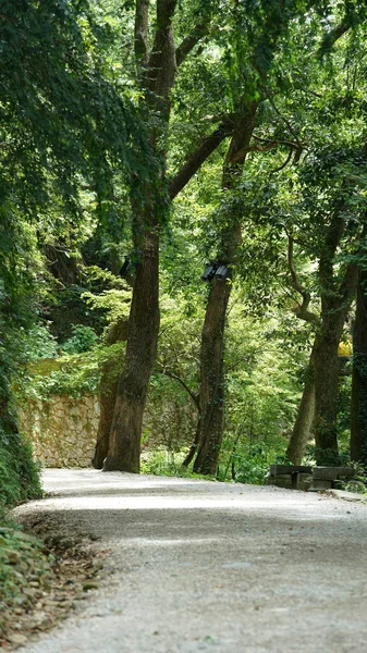 Çin kırsalındaki sessiz köy yolu.