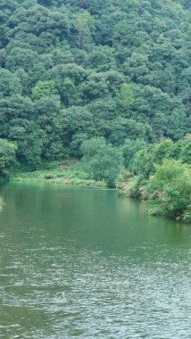 Dağlar ve vadi manzarası. Yazın nehrin aktığı yer.