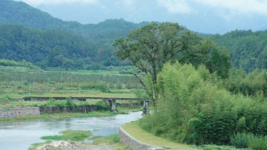 Dağlar ve vadi manzarası. Yazın nehrin aktığı yer.