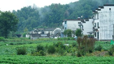 Yeşil ormanı olan güzel dağlar ve Çin kırsalının arka planında küçük bir köy.