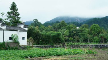 Yeşil ormanı olan güzel dağlar ve Çin kırsalının arka planında küçük bir köy.