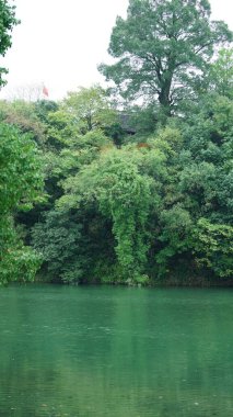 Dağlar ve vadi manzarası. Yazın nehrin aktığı yer.