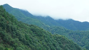 Güzel dağların manzarası, üzerlerinde sis var.