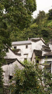 Çin 'in güneyinde inşa edilmiş eski mimari ile eski bir Çin köyü manzarası.