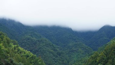 Güzel dağların manzarası, üzerlerinde sis var.