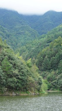 Dağlar ve vadi manzarası. Yazın nehrin aktığı yer.