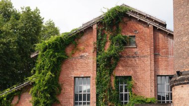 Çin 'de kırmızı tuğlalı ve sarmaşıklı eski Çin fabrikası manzarası.