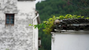 Çin 'in güneyinde inşa edilmiş eski mimari ile eski bir Çin köyü manzarası.