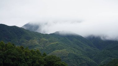 Güzel dağların manzarası, üzerlerinde sis var.