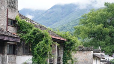 Güzel dağların manzarası, üzerlerinde sis var.