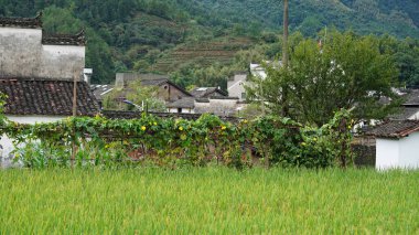 Çin 'in güneyinde inşa edilmiş eski mimari ile eski bir Çin köyü manzarası.