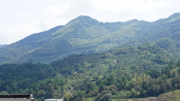 Güzel dağlar baharda tepenin zirvesinden görünür.