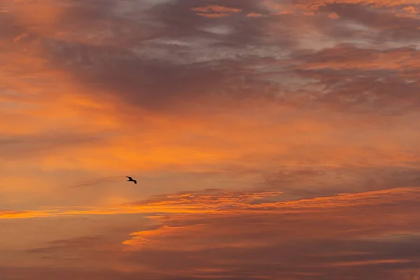 日の出の間の明け方の空に雲を発射 — ストック写真