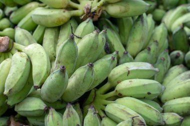 Ham muz ve olgun ekili muz Satılık ekili